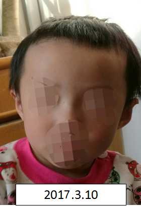 下载骚逼视频